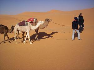 TIMIMOUN DECEMBRE 2004 N065